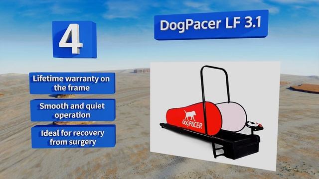 6 Best Dog Treadmills 2018 смотреть онлайн