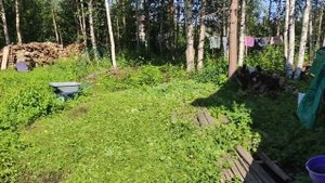 Стройка продолжается/год этого ждали/ какие планы/жизнь в лесу за городом.