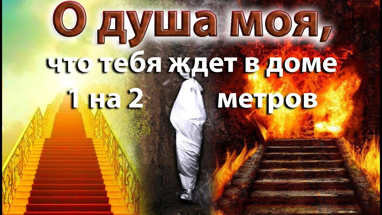 Кто позабыл о смерти - слушается своего нафса и шайтана смотреть онлайн