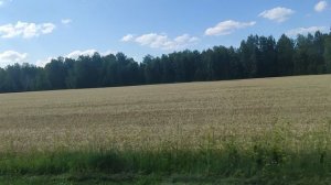 Трасса "Сибирь"