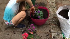 Amethyst the Curious - Gardening