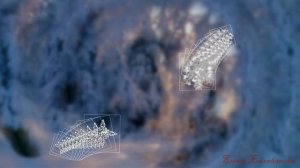 Снежный вальс.  Красивый танец снежинок.