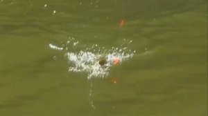 A Mixed Bag - Crappie Fishing Excursion on a Brown County Lake in Southern Indiana