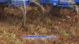 Аммиак возвращается! Внесение безводного аммиака в почву