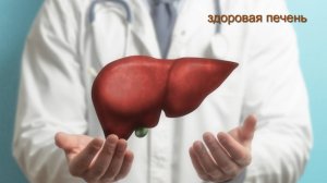 Здоровая печень- Супердетокс 4Life