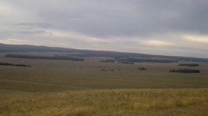 Где и Как зимуют, Божьи Коровки