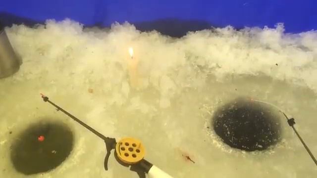 Тонкости Февральской Рыбалки Где искать рыбу в Феврале Какая рыба клюет в феврале