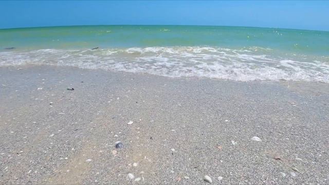 DOME HOMES & DOLPHINS (lots of them!) in Marco Island, Florida смотреть онлайн