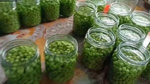 Зелёный горошек - 2. Отработаная схема.