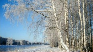 Песни для ДУШИ.  СНЕГ КРУЖИТСЯ, летает, летает...   Автор видео Вайцель Владимир.