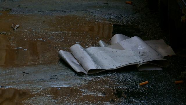 Panasonic FZ 1000 4K Sample смотреть онлайн