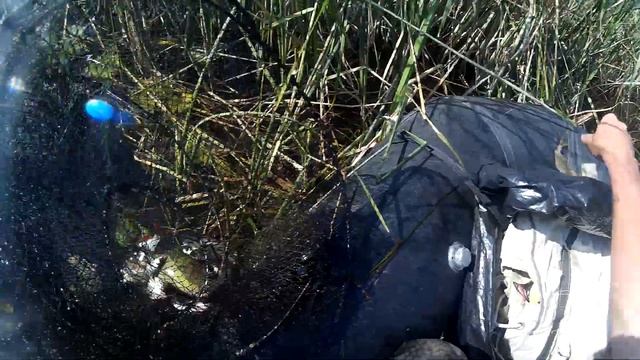 ЛОВЛЯ ЛИНЯ И ПЛОТВЫ ВЕРШЕЙ НА МАЛОЙ ГЛУБИНЕ смотреть онлайн