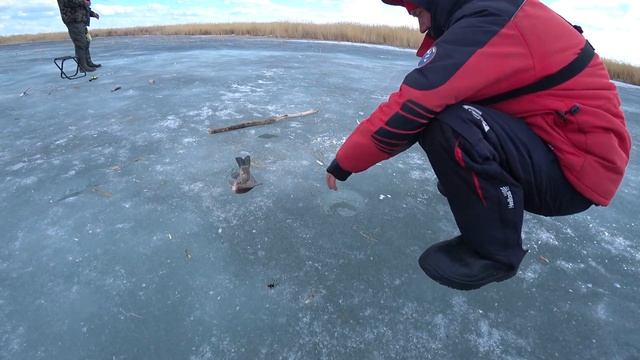 ОПУСТИЛИ КАМЕРУ ПОД ЛЁД , а там нереальное количество КАРАСЕЙ!!! ЭТО ПОСЛЕДНИЙ ЛЁД 2021 смотреть онлайн