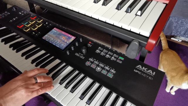 "Mother Earth" ( Korg Wavestate Nord Lead 4 Roland SH-4d Akai MPC Key61 ) смотреть онлайн