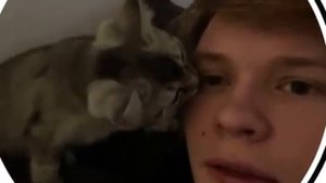 ДИПИНС СО СВОИМ КОТОМ АШИ#дипинс