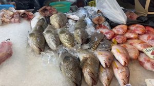 Редкие виды морепродуктов. Самый крутой рыбный рынок?
