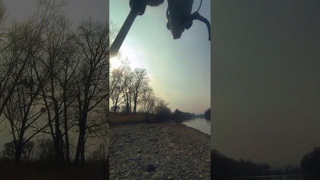 Гигантская щука, чуть не вырвала спиннинг 😱😱🎣🎣🎣 #Приморскийкрай #рыбалканаспиннинг #огромнаярыба