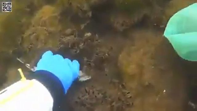 После электроудочки смотреть онлайн