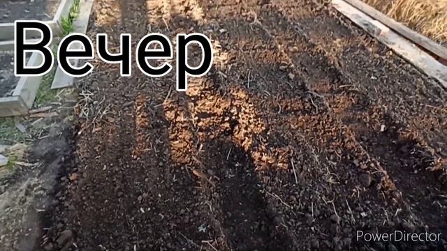 Пора заготавливать корма для коз на зиму. Новая коза ??..... смотреть онлайн