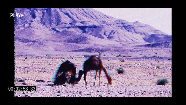 Guild Of Lore - Messummur (2023) / Dungeon Synth, Desert Synth