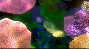 Finding Nemo UK DVD Walkthrough