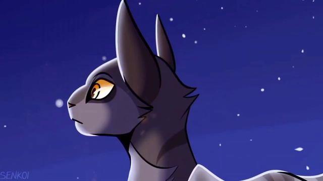 ? Коты Воители | Равнодушие ?