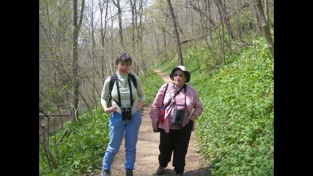 Virtual Trip: Shenks Ferry Wildflower смотреть онлайн