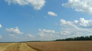 Молотим Скипетр, измеряем влажность