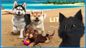 Супер Кот завел себе собаку ? Little Friends Puppy Island #1