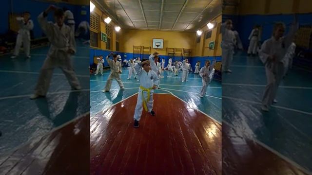 TAEKWON-DO ITF  yellow belt атака, блоки