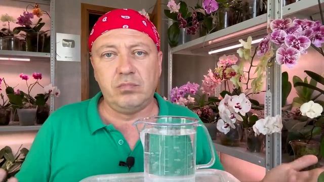 НОВЫЕ ОРХИДЕИ // цветущие НЕ сбросят цветы от ЭТОЙ лечебной смеси для орхидей // Батрайдер и Топаз