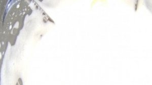 Бризоли куриные