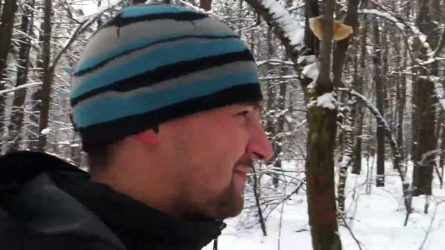 Гонки за собакой. смотреть онлайн