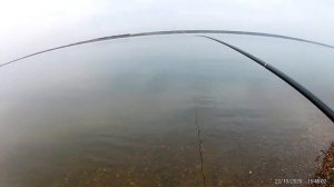 Рыбалка на маховую удочку с алиэкспресс часть 3