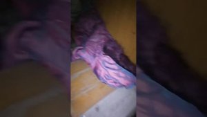 Обзор на нашу комнату