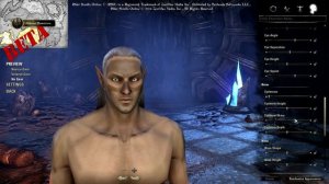 Elder Scrolls Online (ESO) - High Elf Character Creation With Commentary (Male & Female)