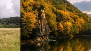 Река Шапсуга Краснодарский край