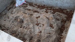 Как построить баню с нуля