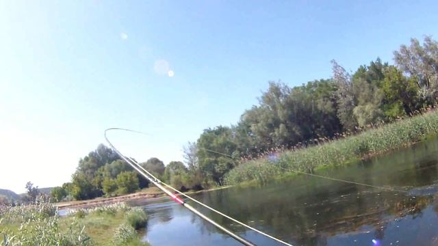 Поимка голавля на мушку Стимулятор