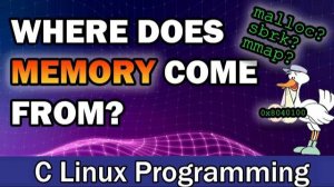 The Origins of Process Memory | Exploring the Use of Various Memory Allocators in Linux C