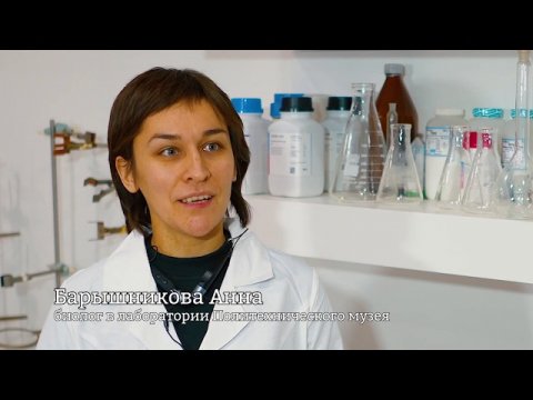 Больше, чем работа