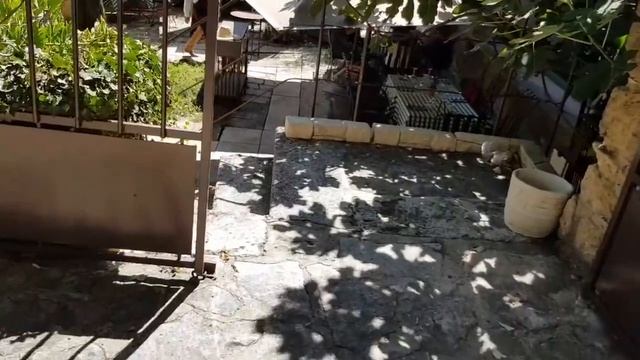 BAZAR в ЛУРМАРЕН/ СЫР С ХАРАКТЕРОМ/ФРАНЦУЗСКИЙ РОДСТВЕННИК/provence-allochka