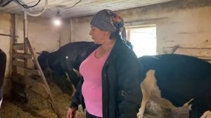 Повышение удоев молока у коров в стойловый период