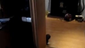 арка полиуретан 2