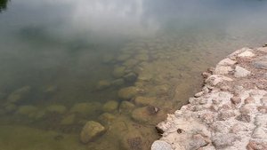 Петергоф Луговой парк