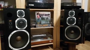 Coral X-V five. Ruby Starr And Grey Ghost