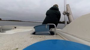 Ловля рыбца на Дону на яйца 26.10.2017