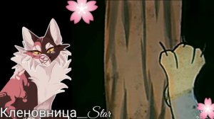 #2 Утерянные файлы /Пестролистая/коты воители