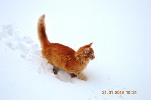 ветруган,сидят....MP4