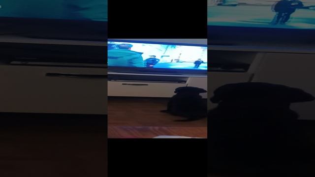 любимое занятие☺